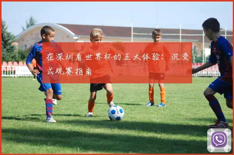 在深圳看世界杯的五大体验:沉浸式观赛指南