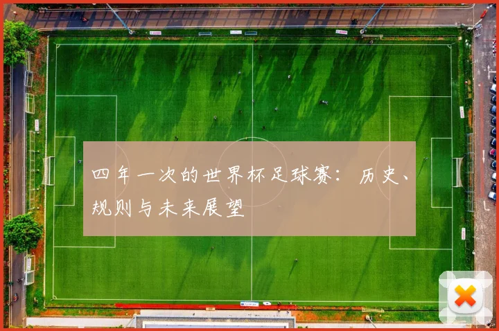 四年一次的世界杯足球赛：历史、规则与未来展望