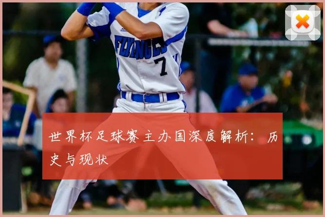 世界杯足球赛主办国深度解析：历史与现状
