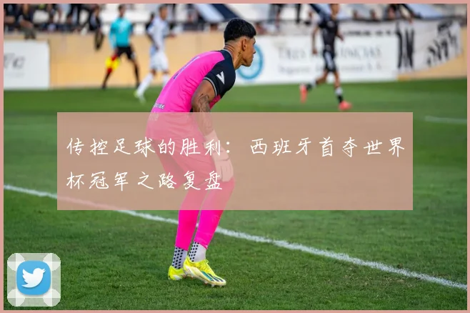 传控足球的胜利:西班牙首夺世界杯冠军之路复盘