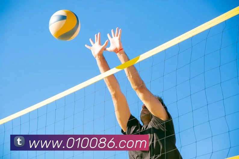 博亚手机app官网平台生态图